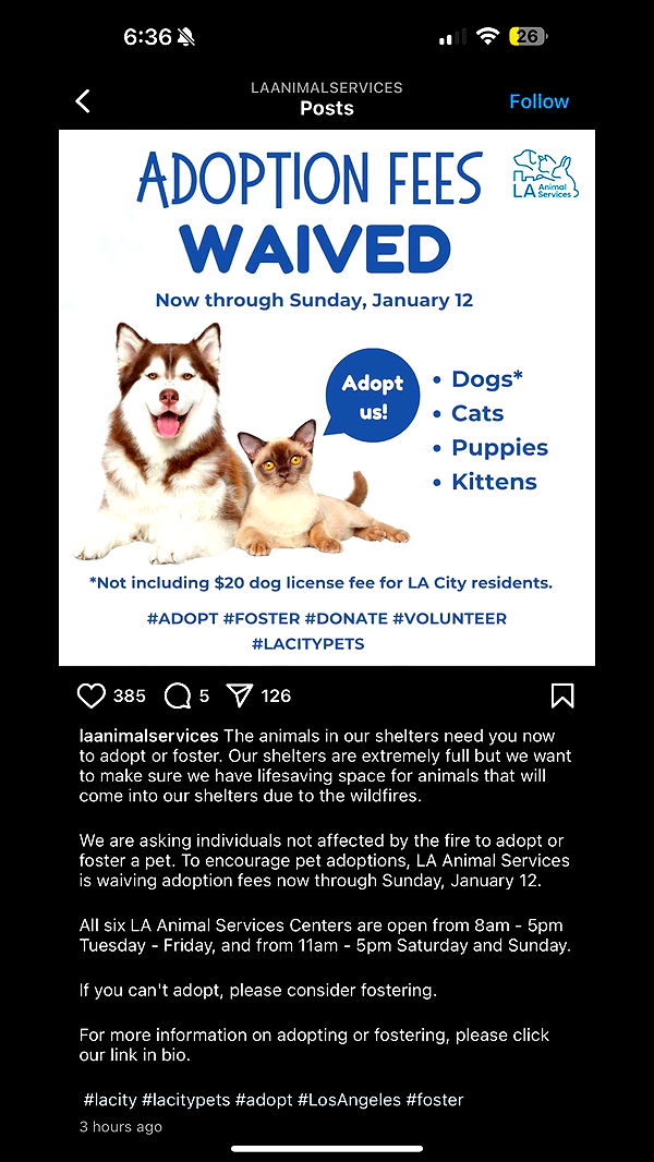 notnevaaadaa image ~ Altpins