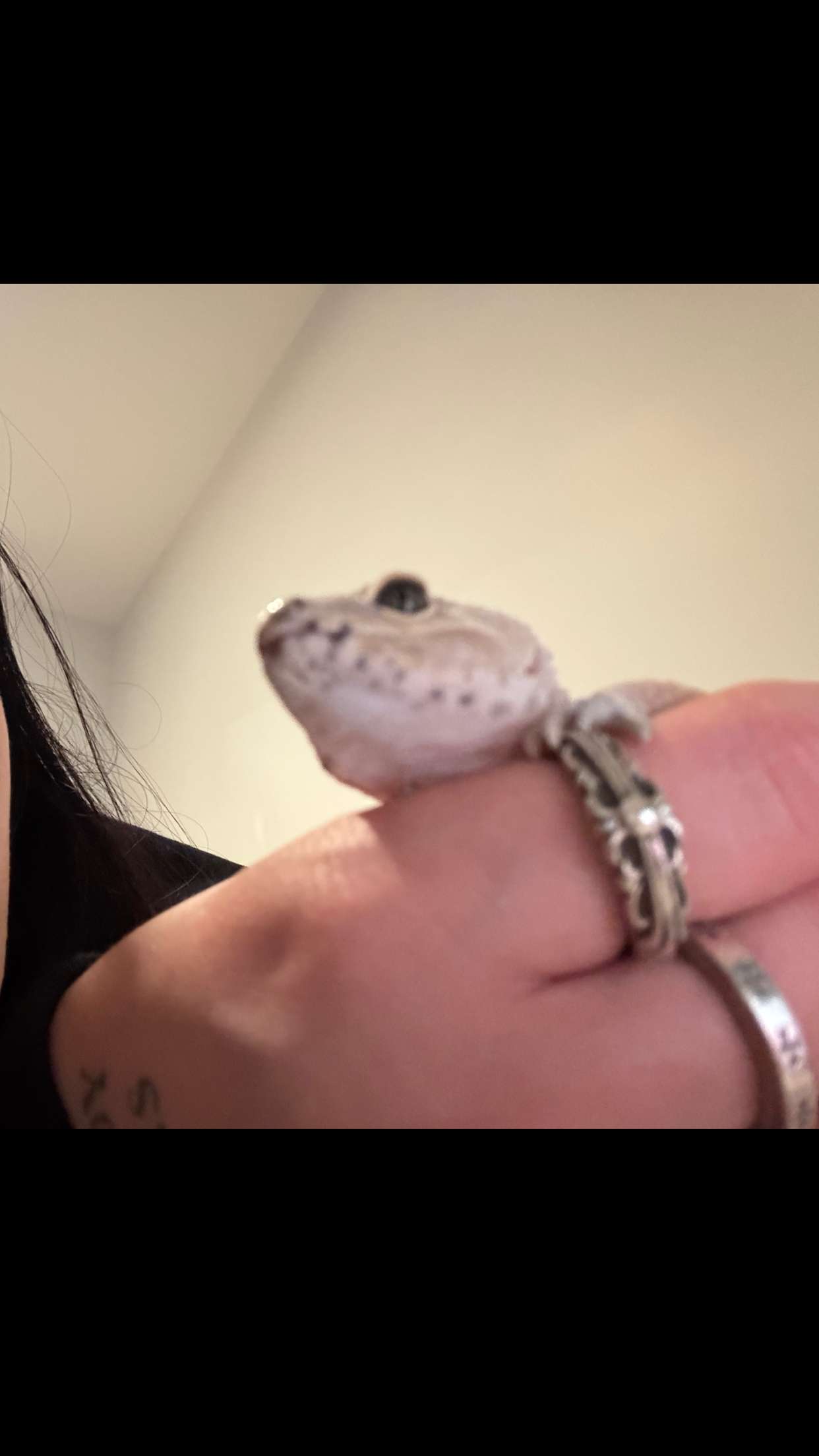 notnevaaadaa snapchat image archive image