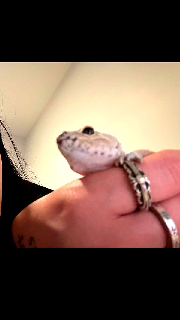 notnevaaadaa image ~ Altpins