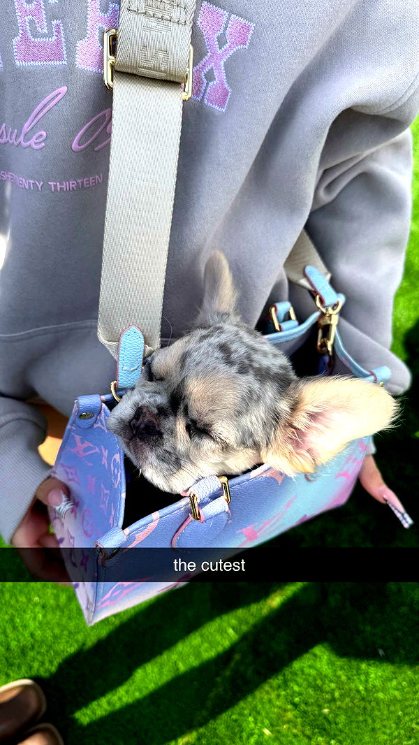 notnevaaadaa image ~ Altpins