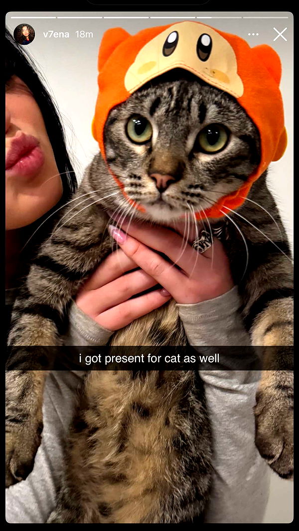 notnevaaadaa image ~ Altpins