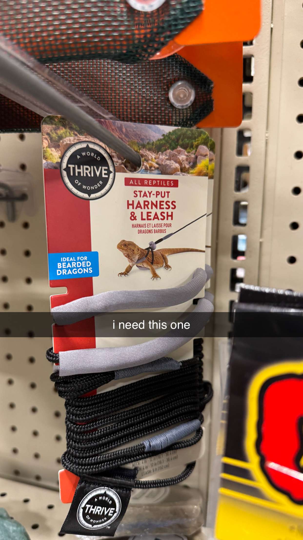 notnevaaadaa snapchat image archive image