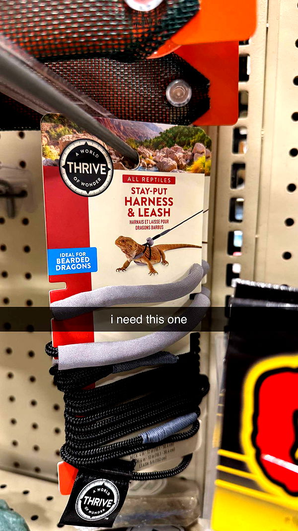 notnevaaadaa image ~ Altpins