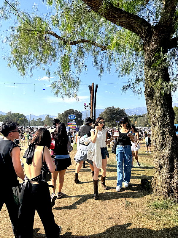 notnevaaadaa image ~ Altpins