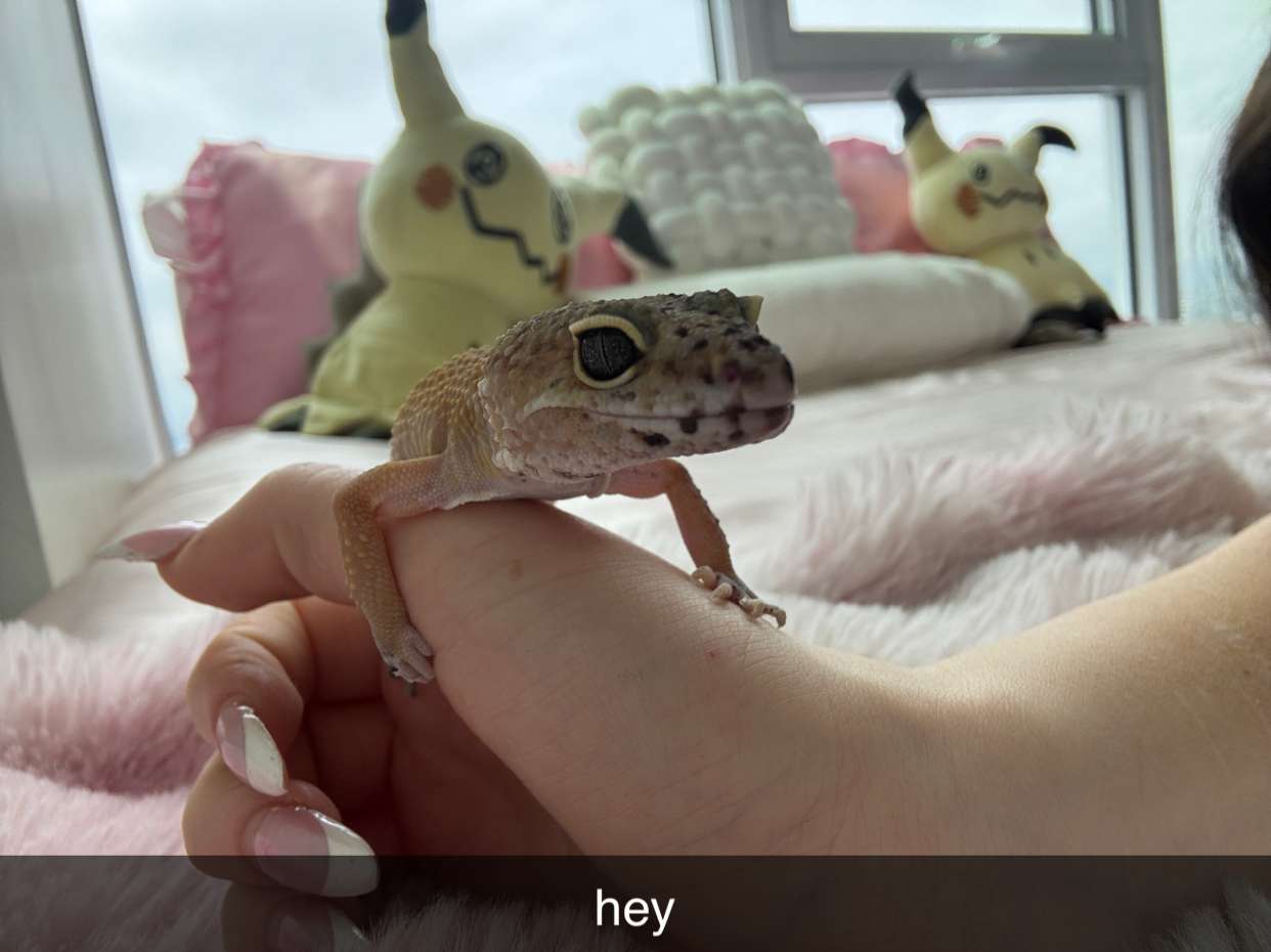 notnevaaadaa snapchat image archive image