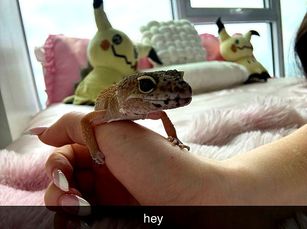 notnevaaadaa image ~ Altpins