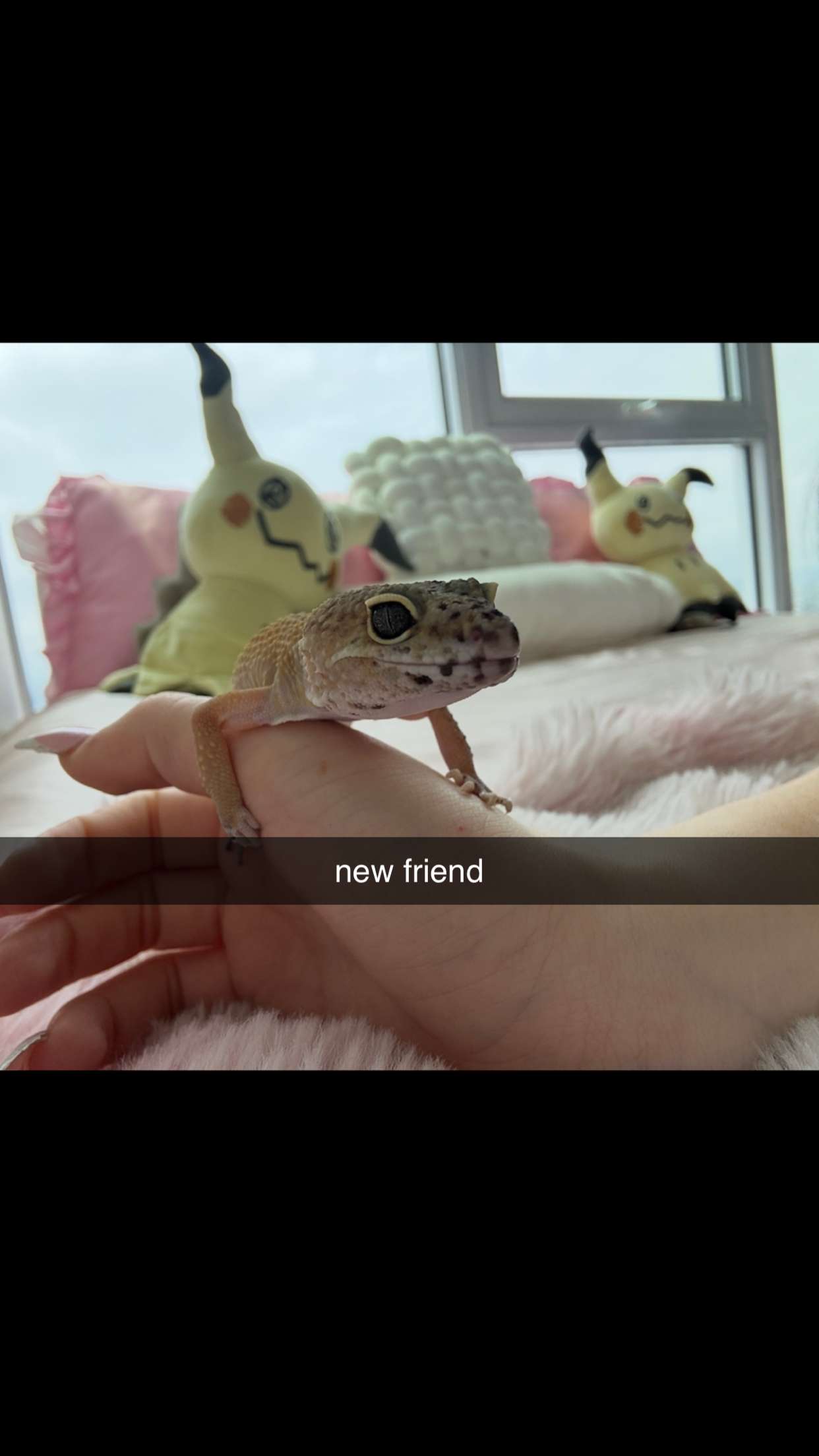 notnevaaadaa snapchat image archive image