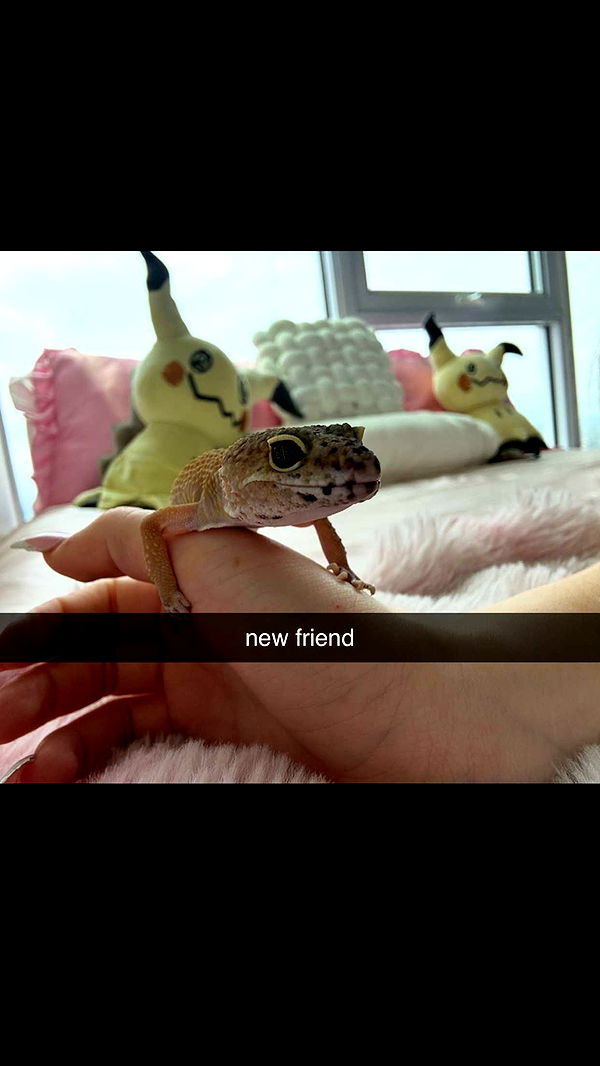 notnevaaadaa image ~ Altpins