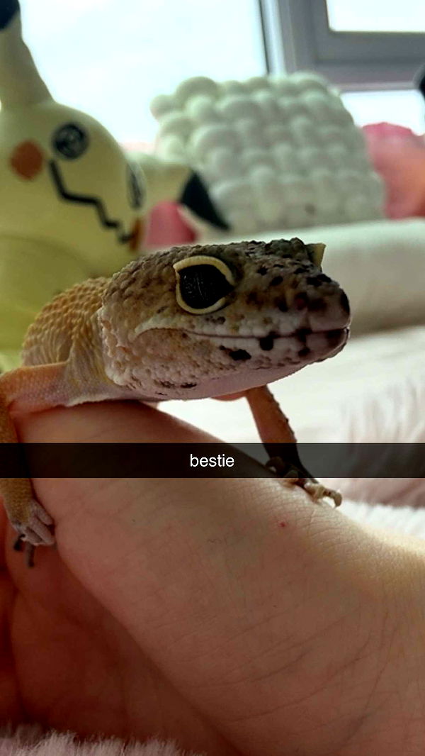 notnevaaadaa image ~ Altpins