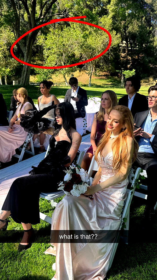 notnevaaadaa image ~ Altpins