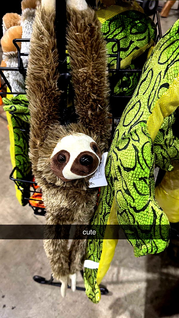 notnevaaadaa image ~ Altpins