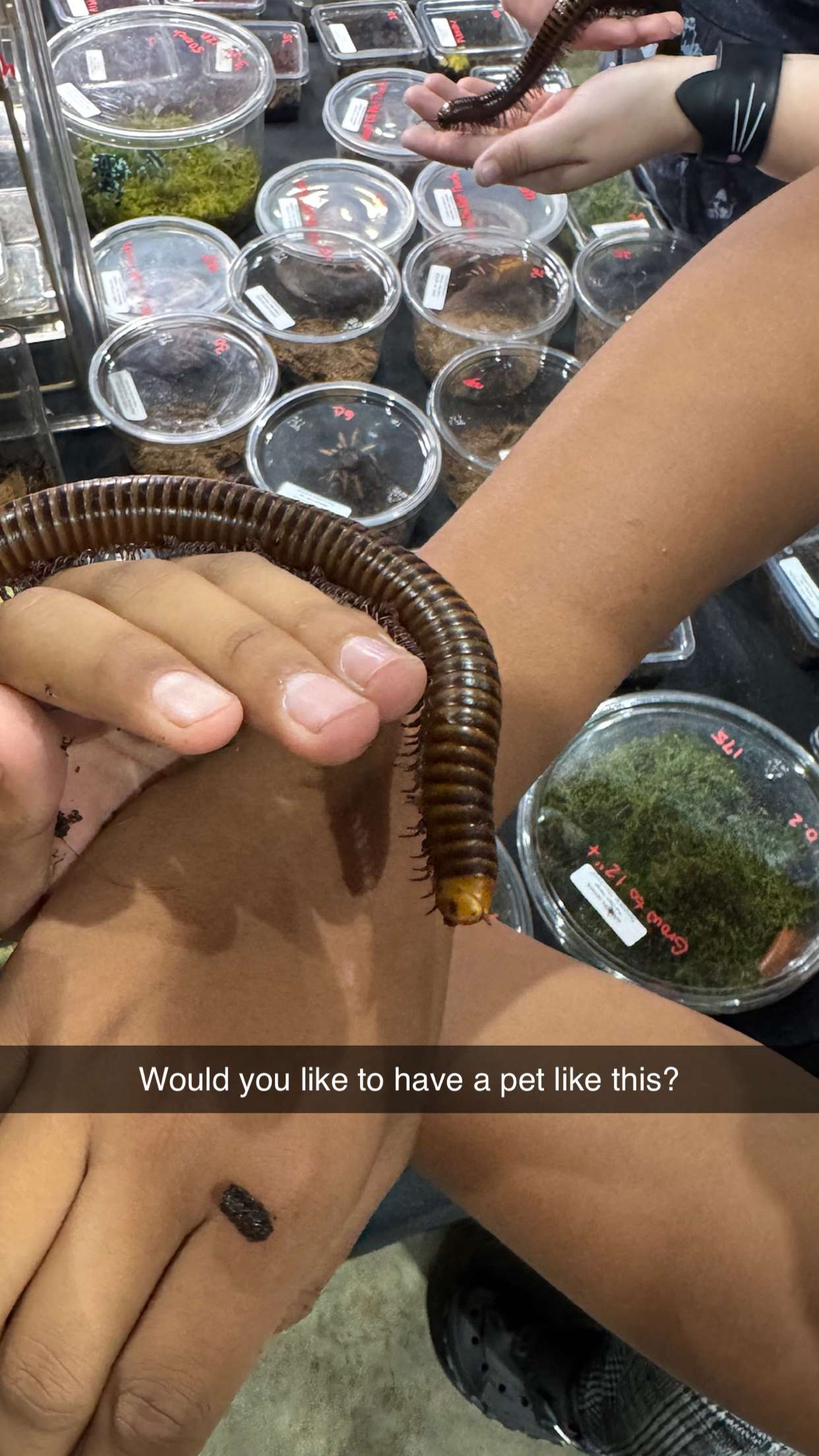 notnevaaadaa snapchat image archive image