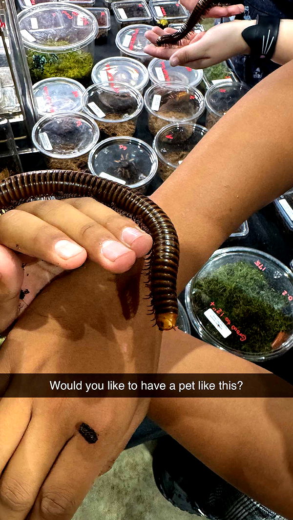 notnevaaadaa image ~ Altpins