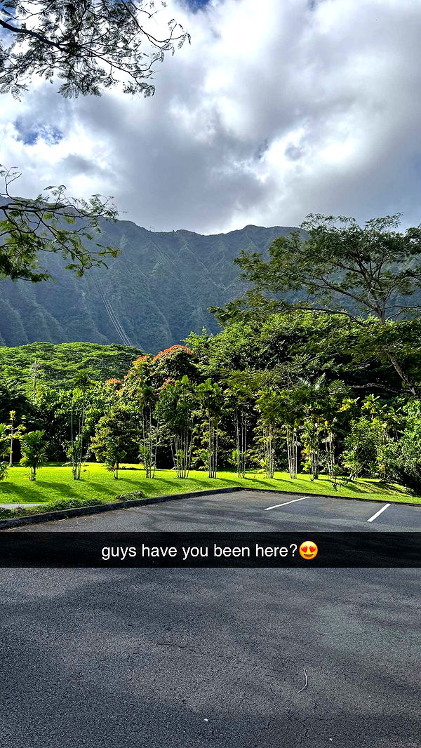 notnevaaadaa image ~ Altpins