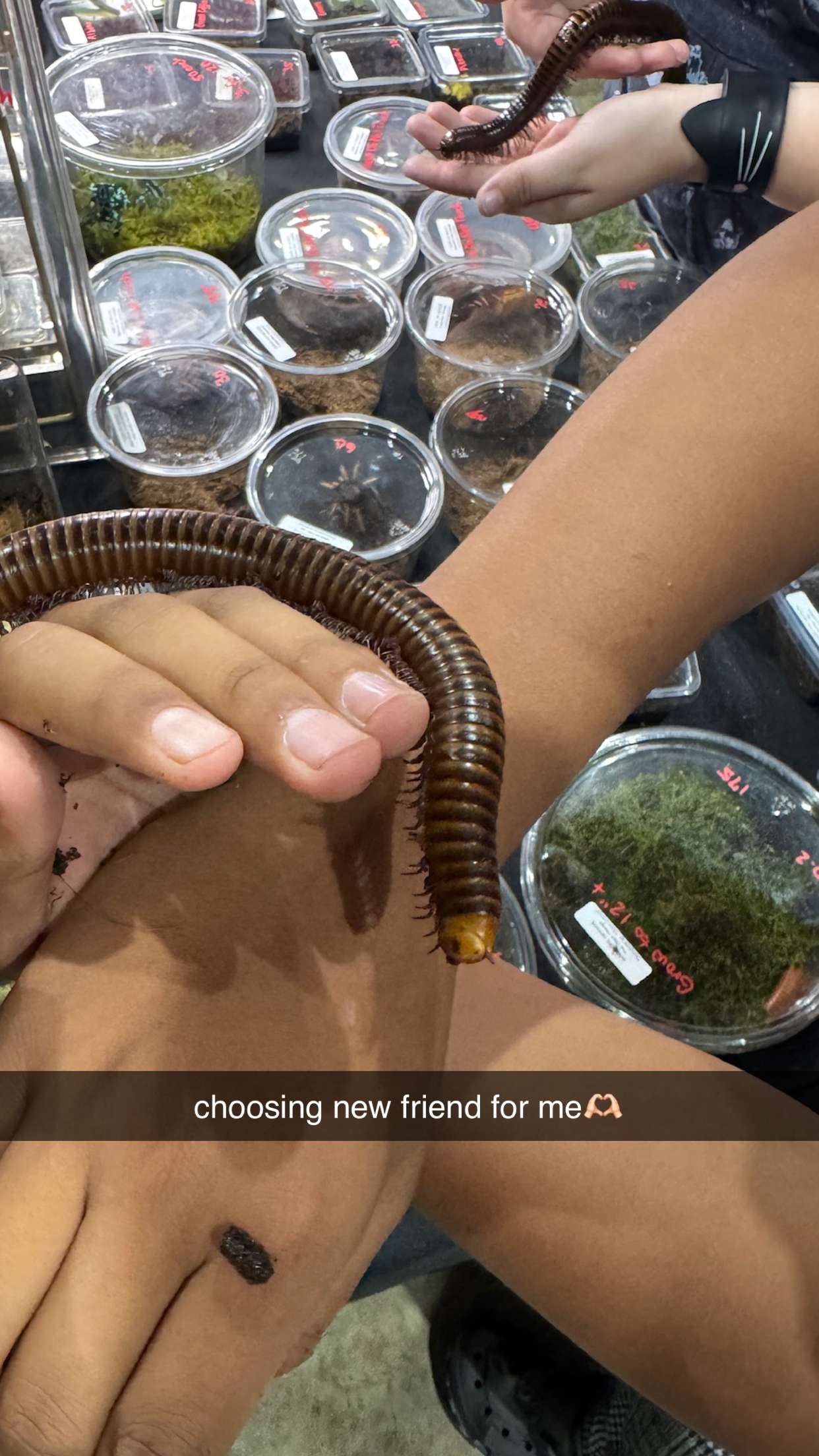 notnevaaadaa snapchat image archive image