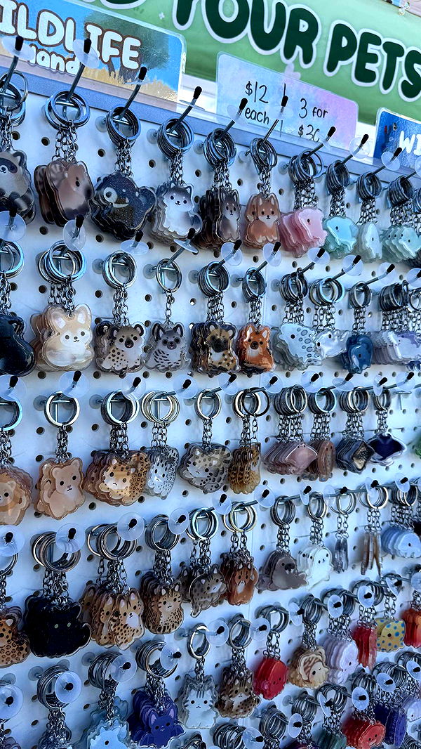 notnevaaadaa image ~ Altpins