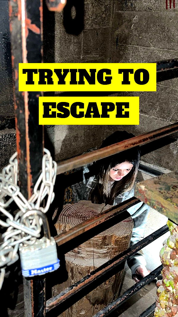 notnevaaadaa image ~ Altpins