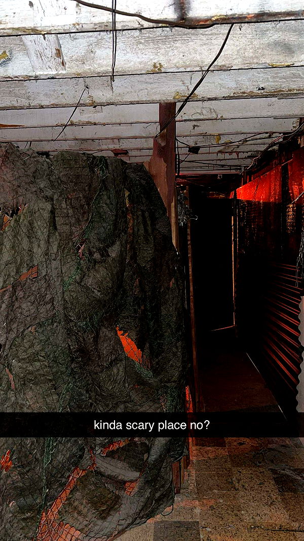 notnevaaadaa image ~ Altpins