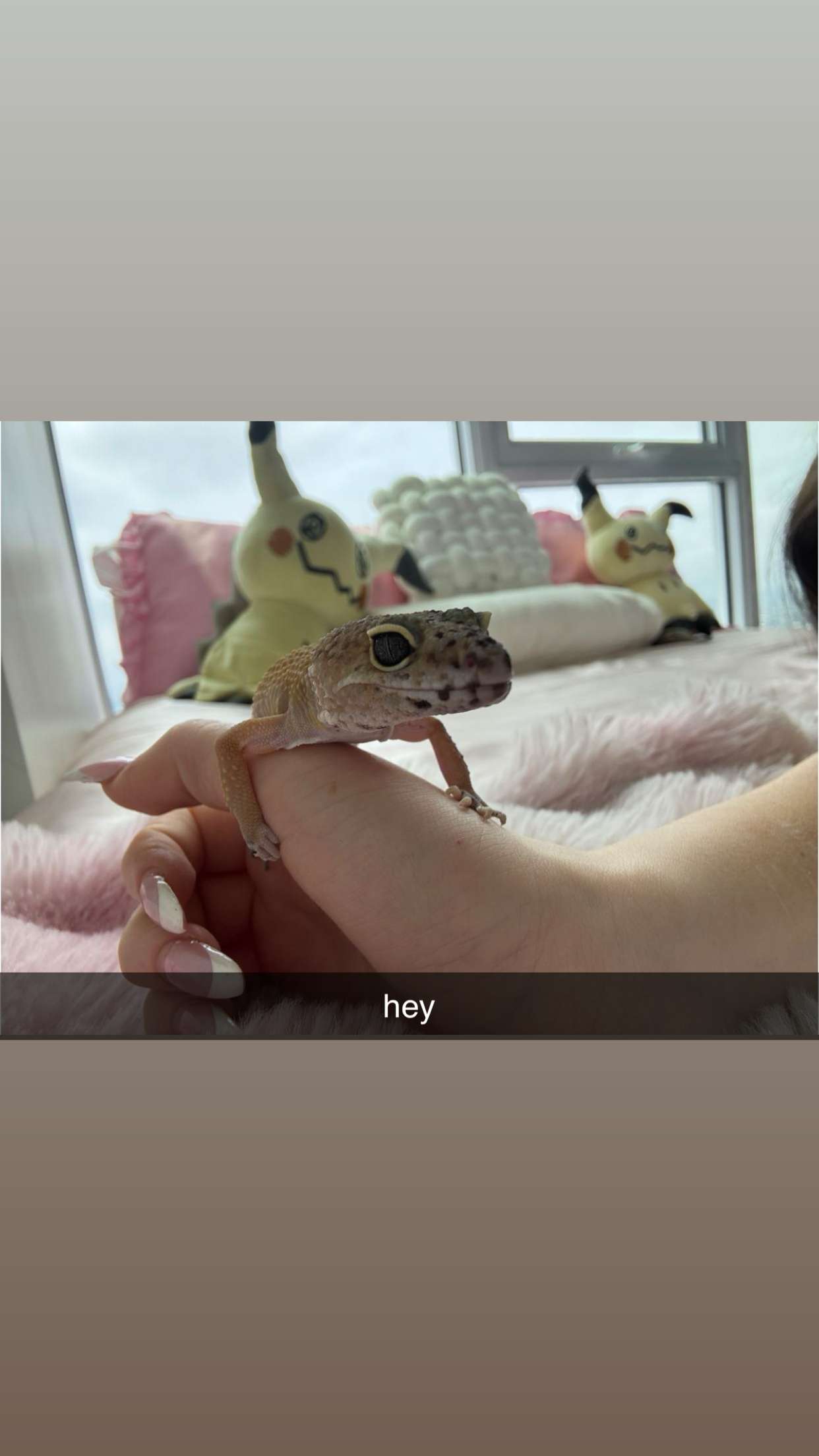 notnevaaadaa snapchat image archive image