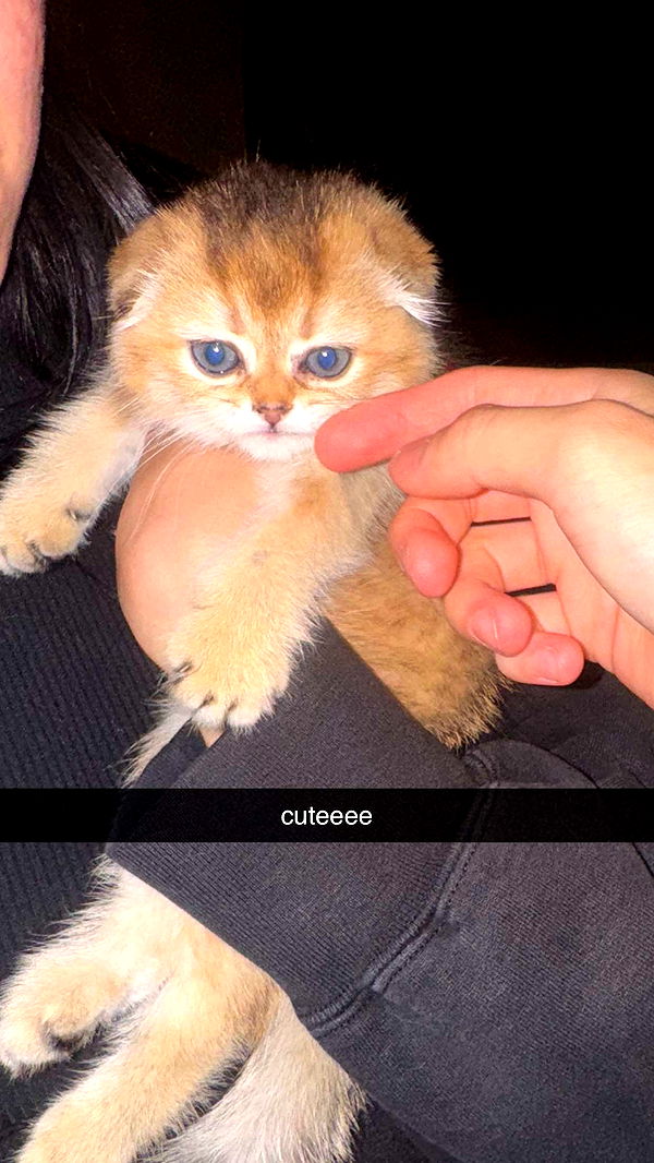 notnevaaadaa image ~ Altpins