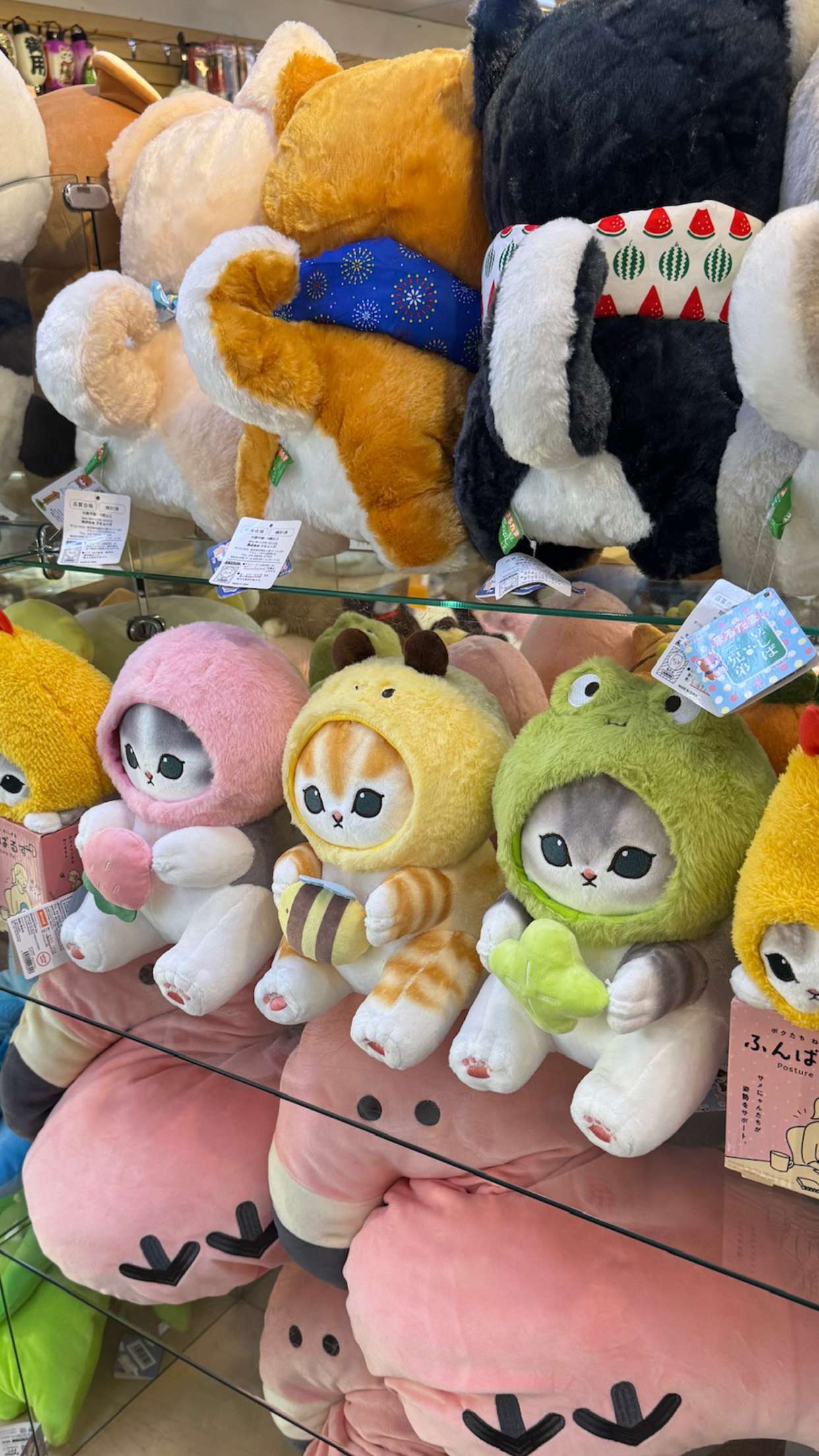 notnevaaadaa snapchat image archive image