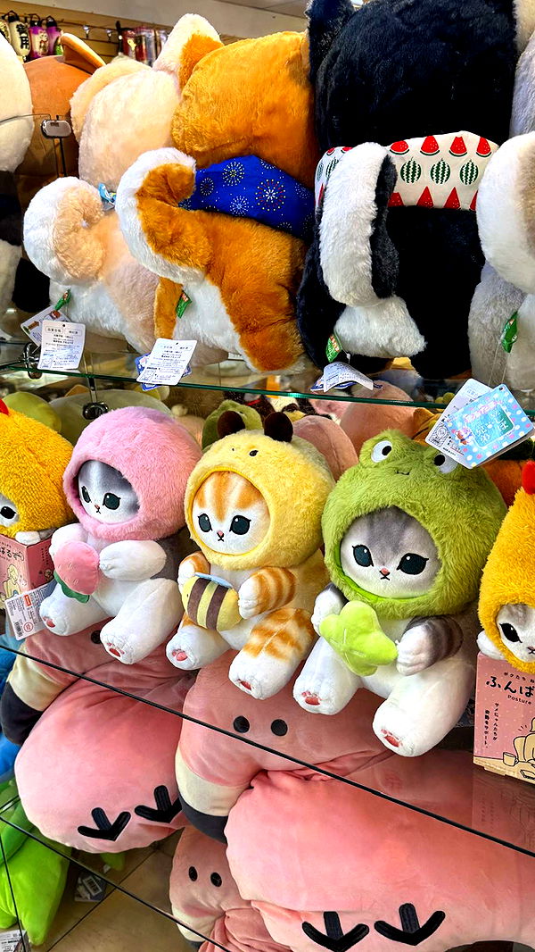 notnevaaadaa image ~ Altpins