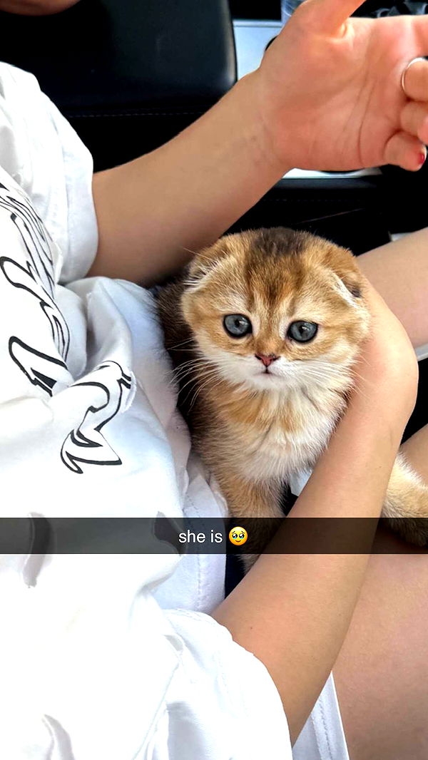 notnevaaadaa image ~ Altpins