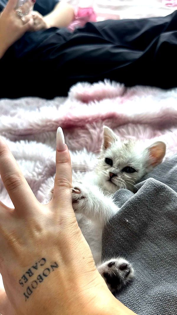 notnevaaadaa image ~ Altpins