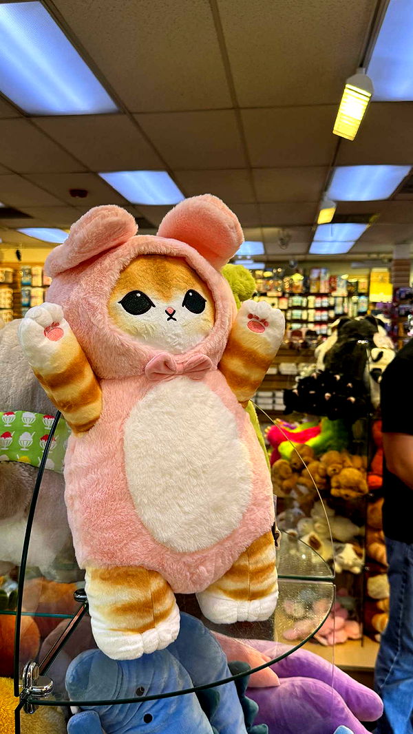 notnevaaadaa image ~ Altpins