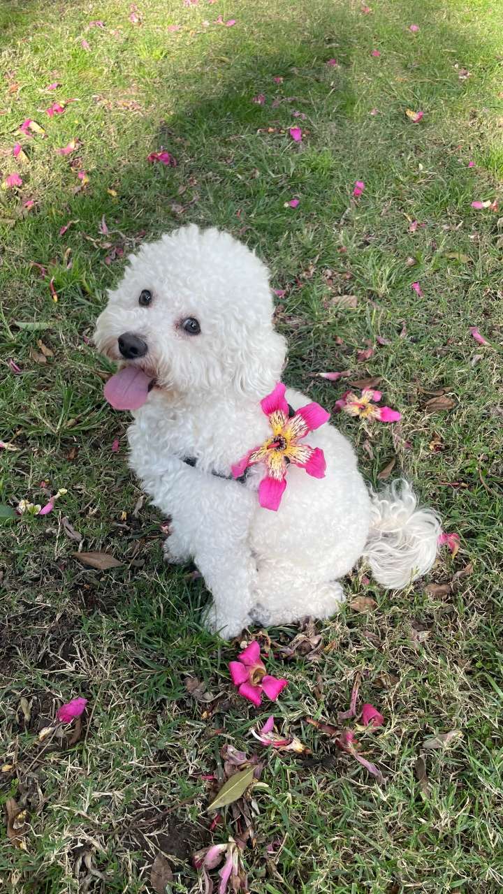 notnevaaadaaaa snapchat image archive image