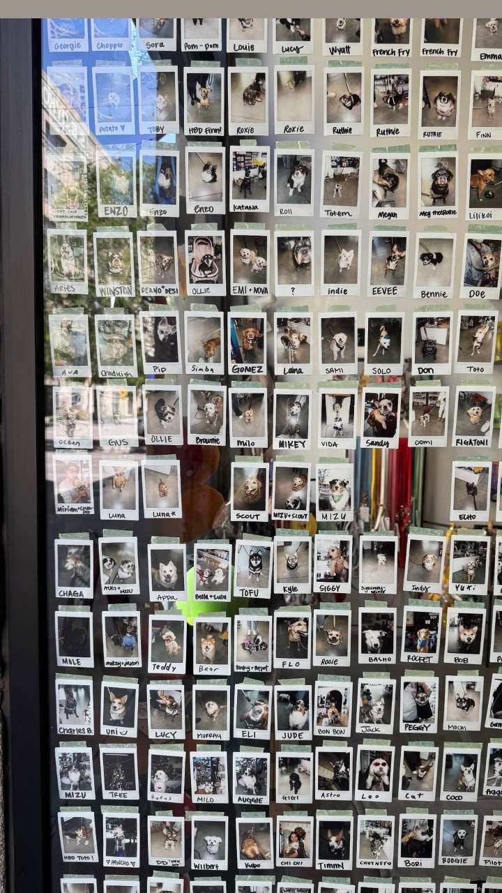 notnevaaadaaaa snapchat image archive image