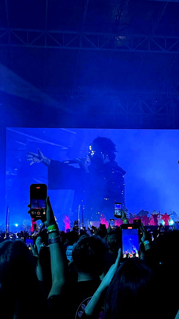 notnevaaadaaaa image ~ Altpins