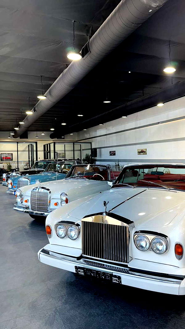 notnevaaadaaaa image ~ Altpins