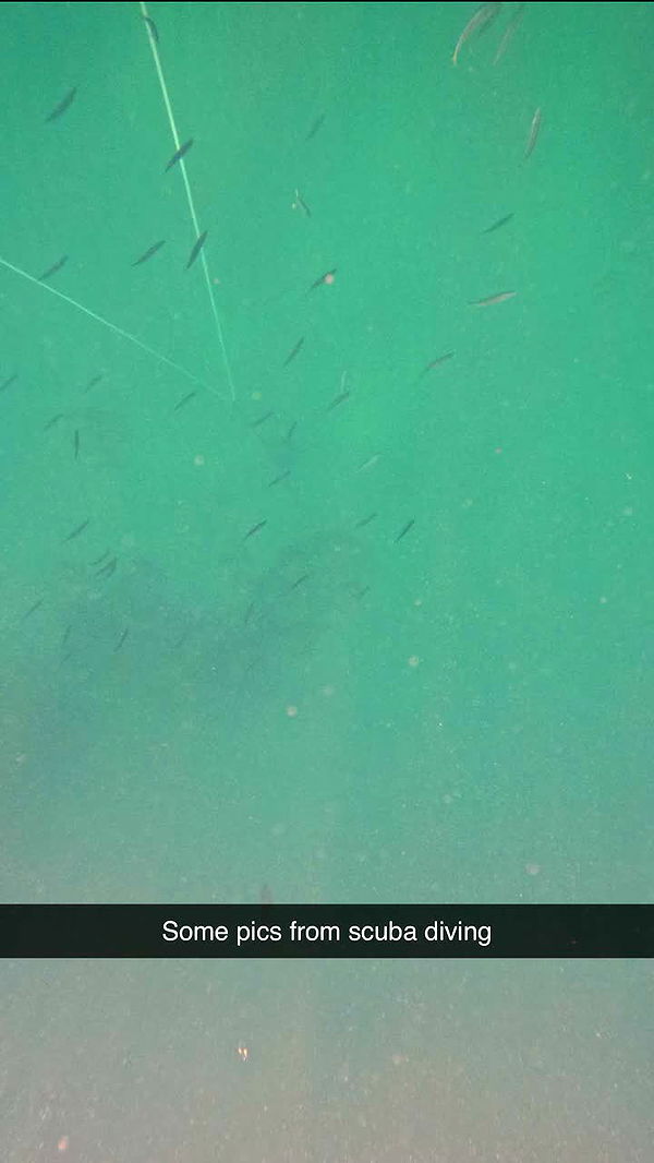 onlygracexrayne image ~ Altpins