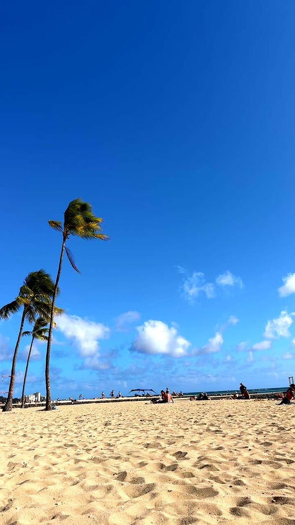 onlygracexrayne image ~ Altpins