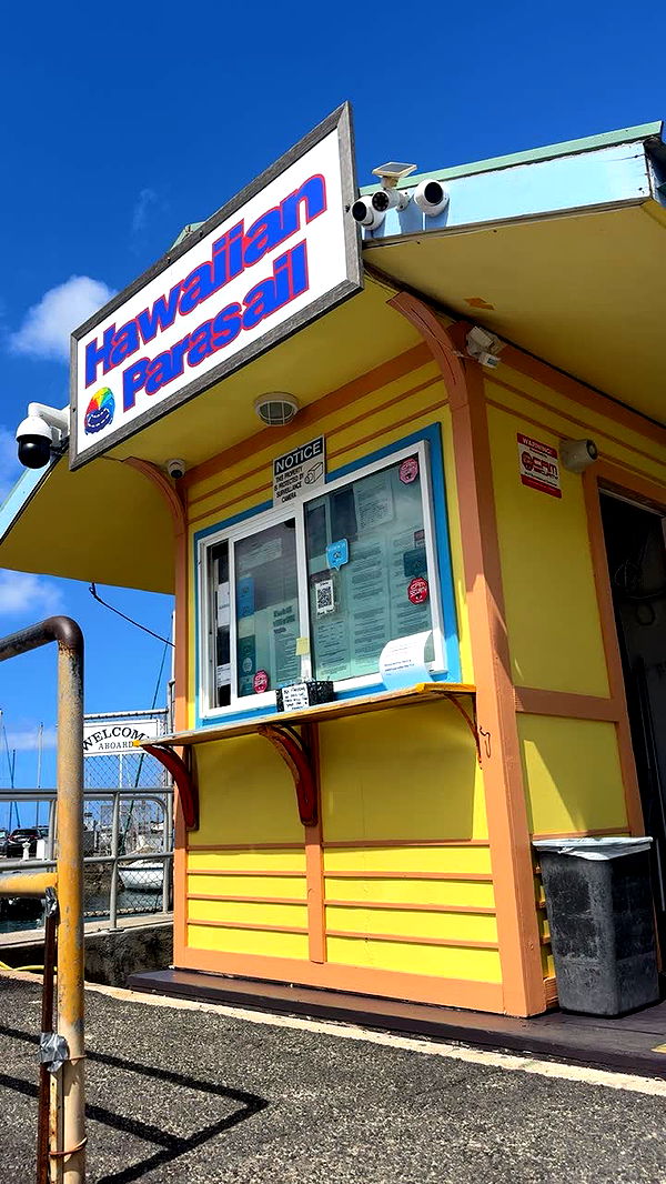 onlygracexrayne image ~ Altpins