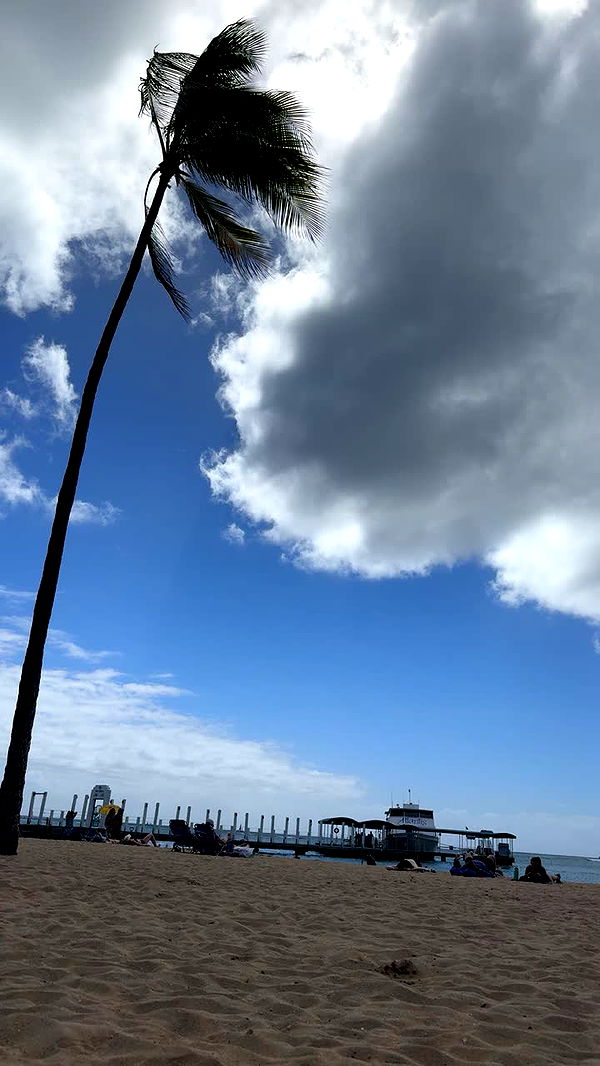 onlygracexrayne image ~ Altpins