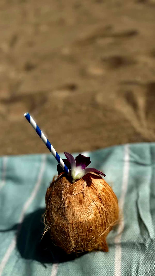 onlygracexrayne image ~ Altpins