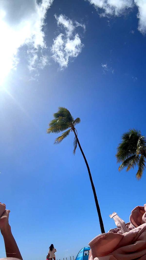 onlygracexrayne image ~ Altpins