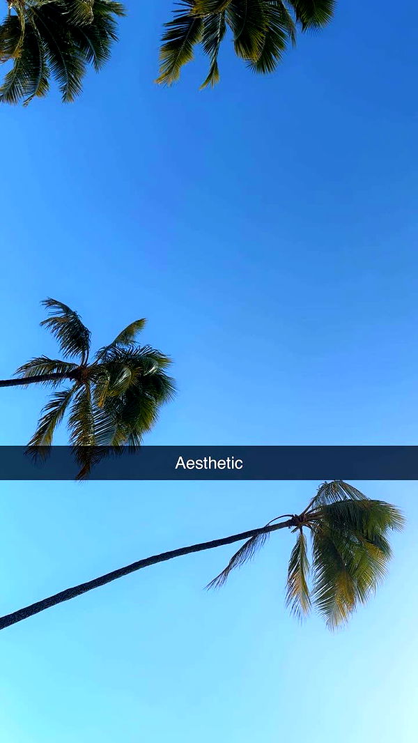 onlygracexrayne image ~ Altpins