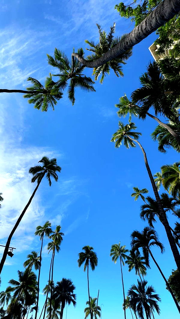 onlygracexrayne image ~ Altpins