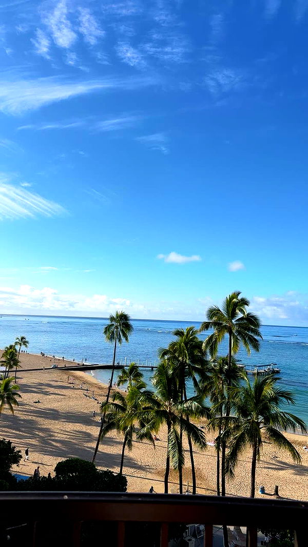 onlygracexrayne image ~ Altpins