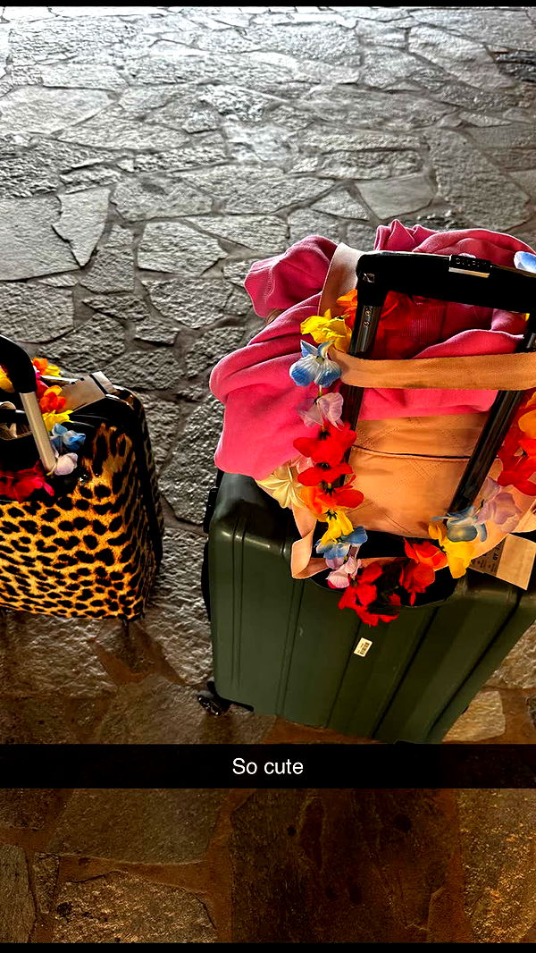 onlygracexrayne image ~ Altpins