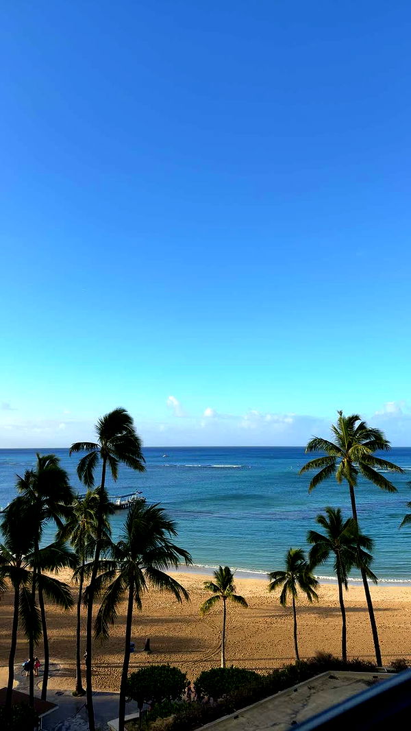 onlygracexrayne image ~ Altpins