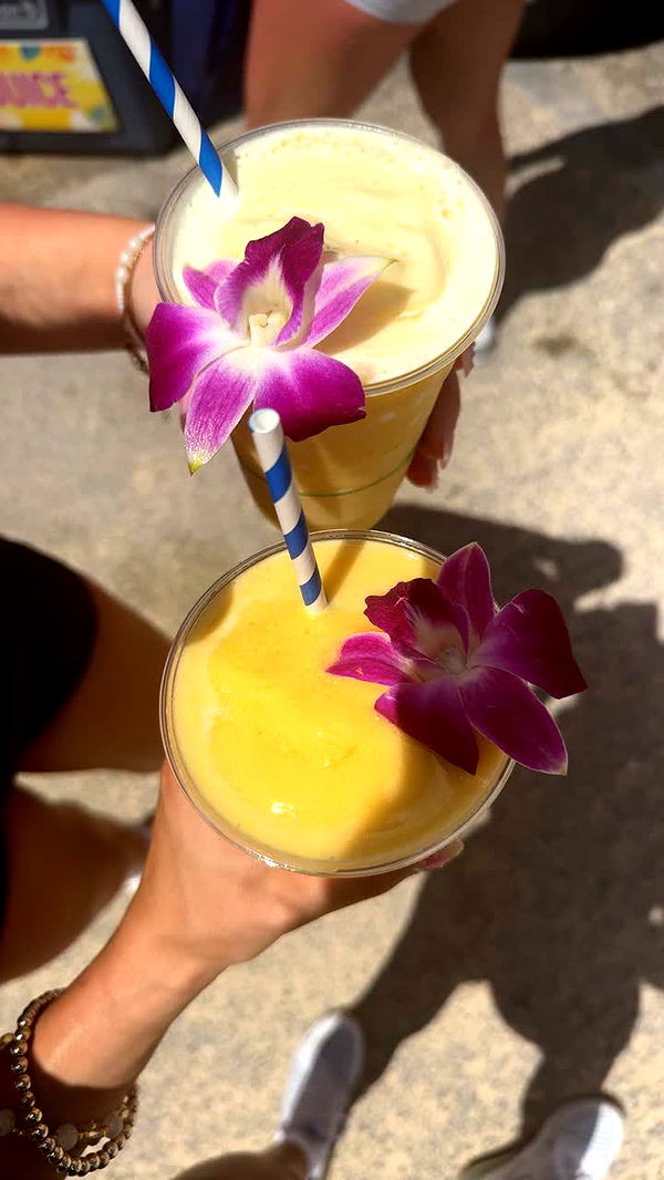 onlygracexrayne image ~ Altpins