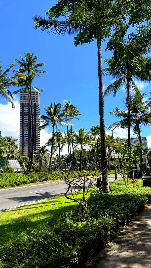 onlygracexrayne image ~ Altpins