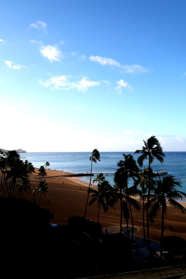 onlygracexrayne image ~ Altpins