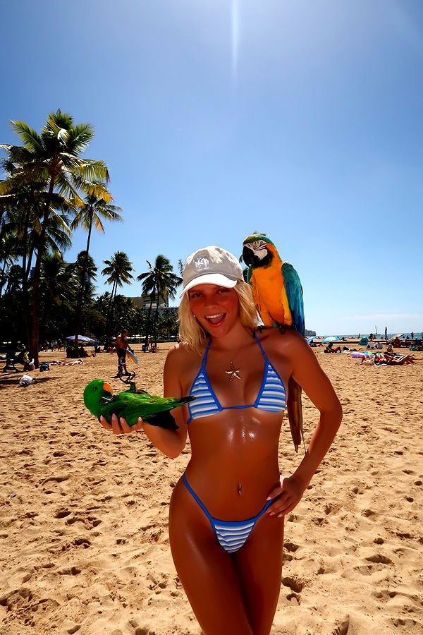 onlygracexrayne image ~ Altpins