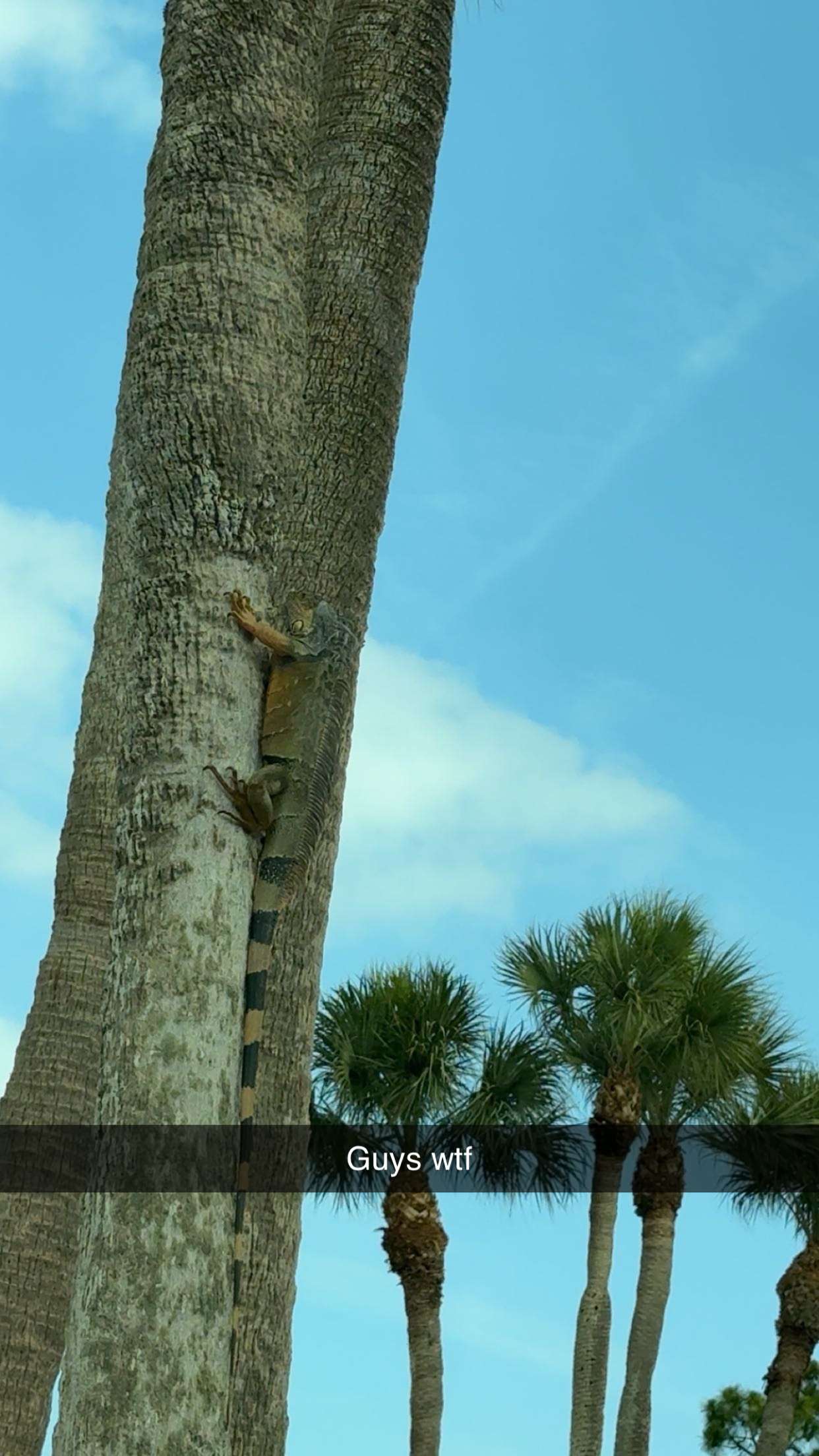 onlygracexrayne snapchat image archive image