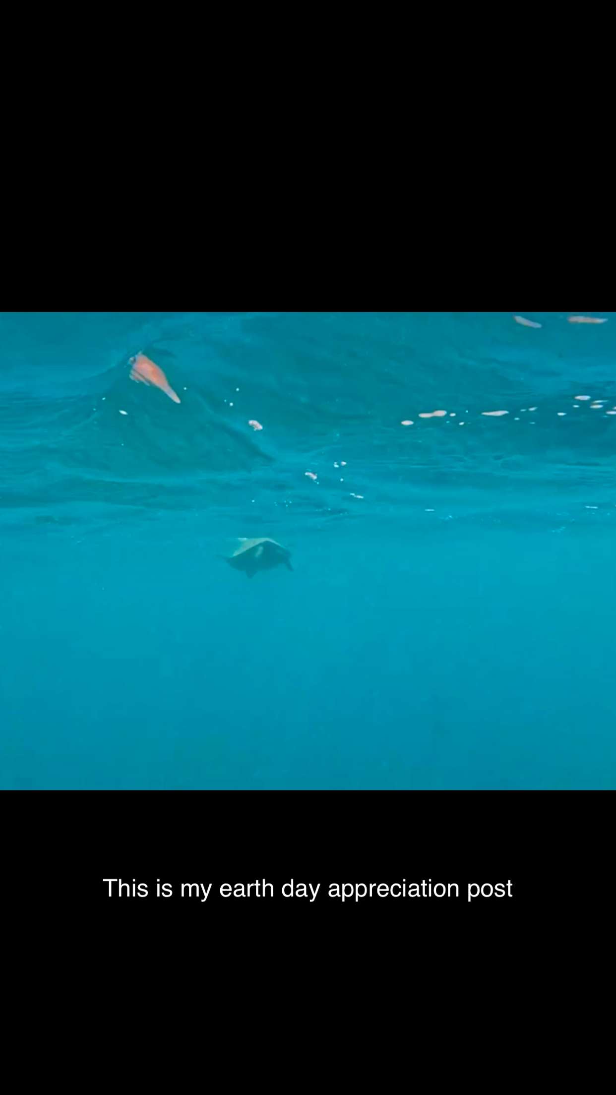 onlygracexrayne snapchat image archive image